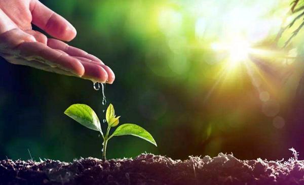 在購買有機(jī)肥應(yīng)注意哪些？