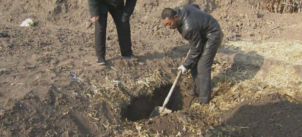 黑龍江秸稈利用，小秸稈變成大生意