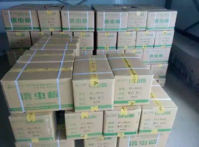 誘蟲板出貨，發(fā)貨現(xiàn)場