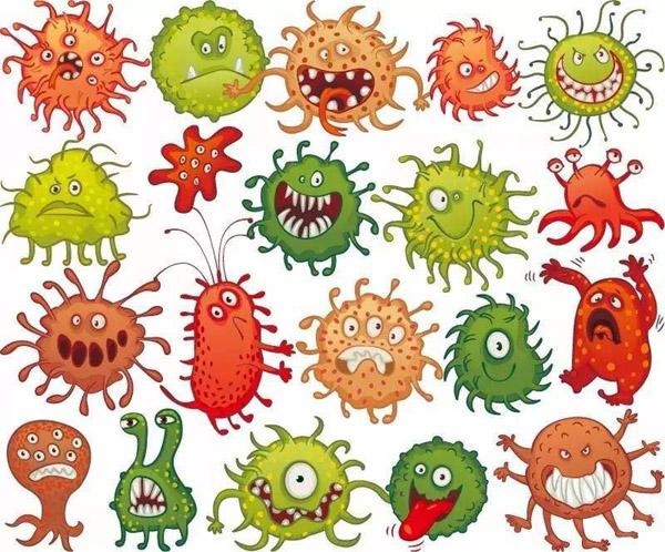 枯草芽孢桿菌_神奇的【枯草芽孢桿菌】菌肥都離不開你！