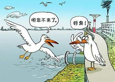 【刻不容緩】養(yǎng)殖場(chǎng)糞污處理_環(huán)保新政猛于虎 【刻不容緩】養(yǎng)殖場(chǎng)糞污處理_環(huán)保新政猛于虎