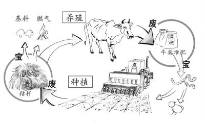 農(nóng)業(yè)廢棄物變身高效有機(jī)肥_有機(jī)肥生產(chǎn)菌劑