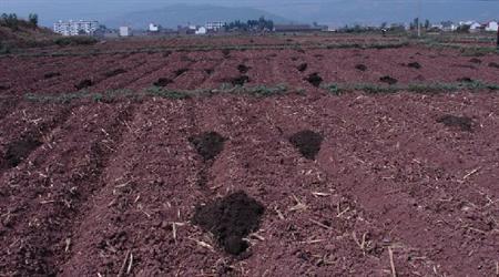 國(guó)家對(duì)農(nóng)村申請(qǐng)開(kāi)有機(jī)肥廠有哪些補(bǔ)貼政策