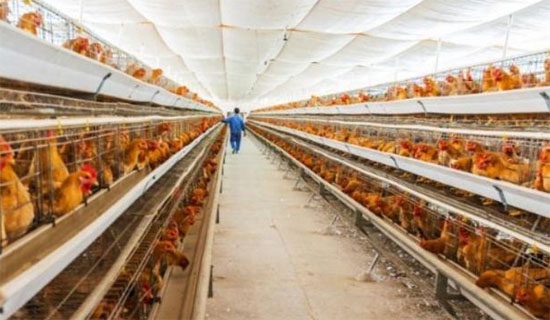 2019年湖北省農(nóng)機購置補貼政策（含有機肥設(shè)備補貼）