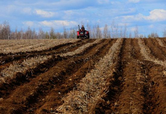 施用有機(jī)肥有哪些作用？