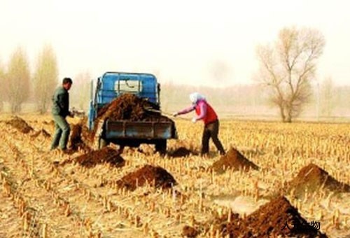 我國豬糞利用方面未來發(fā)展趨勢怎樣？