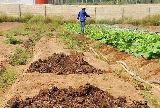 糞肥利用是豬糞處理常用方案，卻很難推廣應(yīng)用，原因是什么？