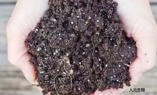 使用土壤調(diào)理劑時需要注意哪些？