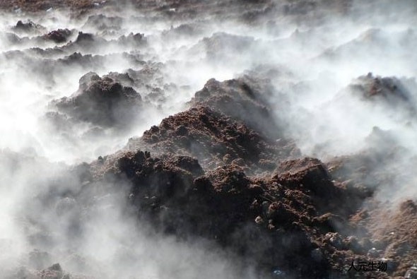 有機(jī)肥應(yīng)該發(fā)酵多少天，需要經(jīng)歷幾個(gè)階段？