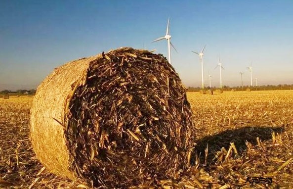 適合制作有機肥的原料有哪些，怎么劃分有機肥原料種類的？