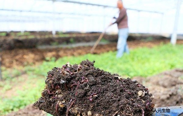 各種不同原料生產(chǎn)的有機(jī)肥哪個效果好？
