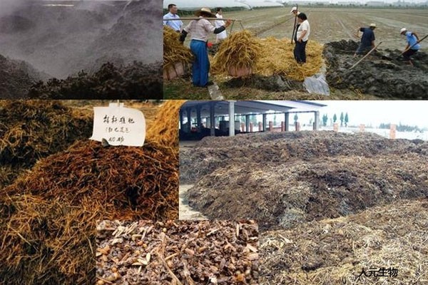 各種不同原料生產(chǎn)的有機(jī)肥哪個效果好？