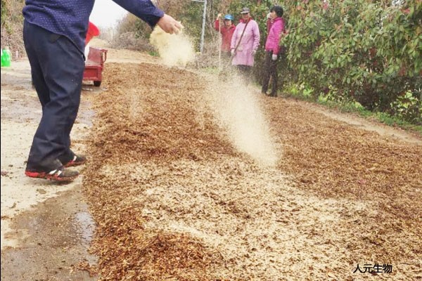 雞糞是怎么發(fā)酵的？雞糞有機肥發(fā)酵的具體方法和步驟