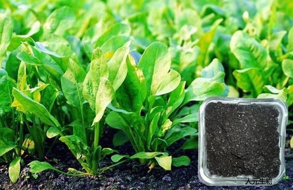 發(fā)酵完成后的微生物肥料如何使用才正確，需要注意哪些？