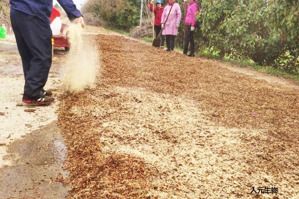 優(yōu)質(zhì)秸稈腐熟劑哪里找？