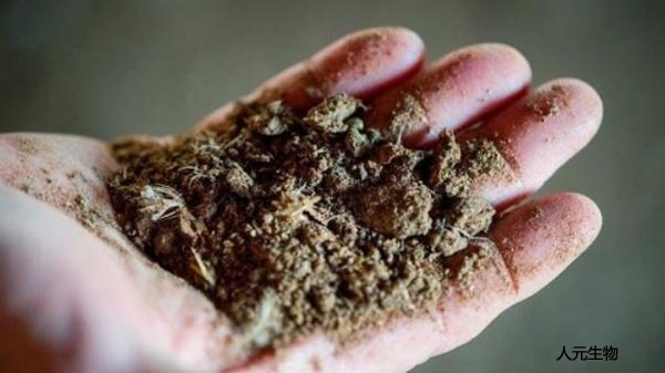 施用畜禽糞便有機(jī)肥需要注意哪些？