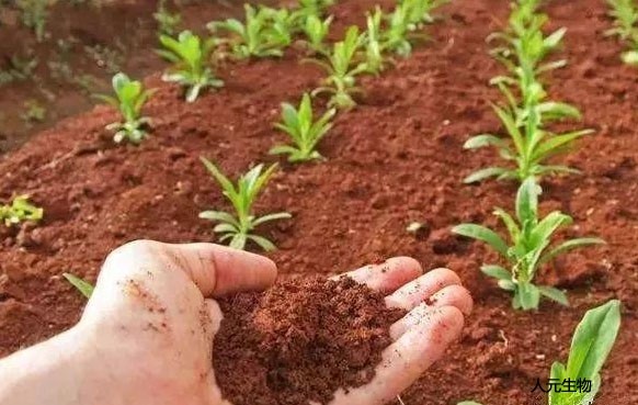 都說(shuō)有機(jī)肥好，為啥老百姓卻不認(rèn)可呢？