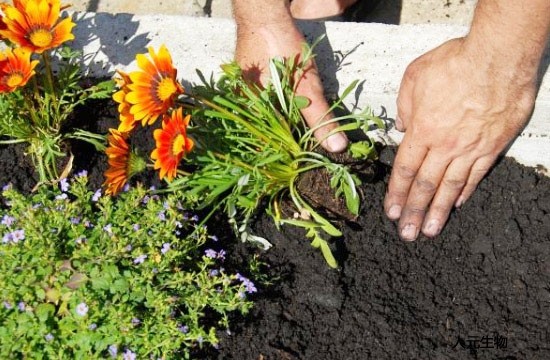 都說(shuō)有機(jī)肥好，為啥老百姓卻不認(rèn)可呢？