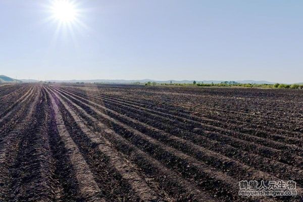 小麥底肥施用有機(jī)肥效果好不好？