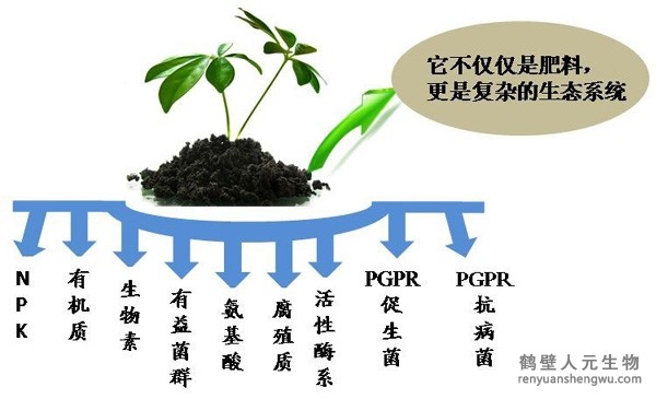 都說微生物菌劑產(chǎn)品貴，你卻不知道土壤微生物到底有多重要！