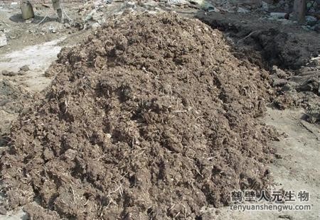 豬糞有機(jī)肥如何發(fā)酵？