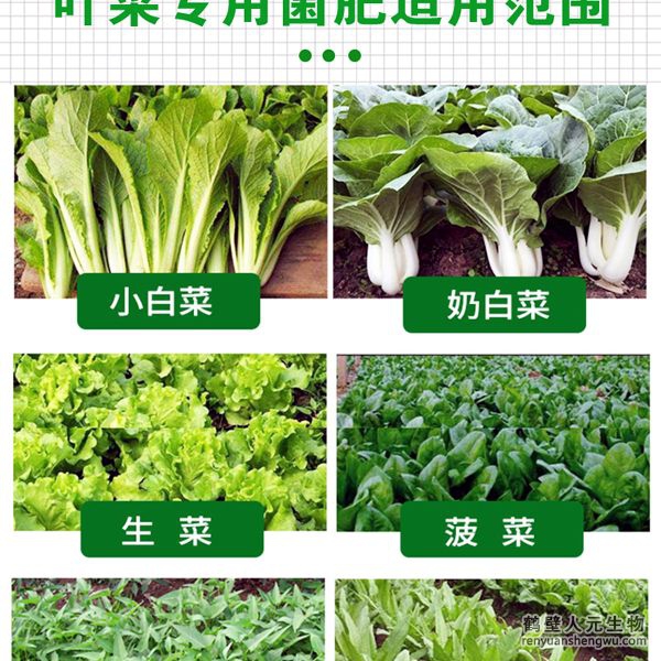 多氨豆粕菌肥系列葉菜類專用肥適用范圍：適用于生菜、雍菜、油菜、茼蒿、芹菜、菠菜、木耳菜、油麥菜、韭菜、娃娃菜、空心菜、菜心、莧菜等葉菜類作物。