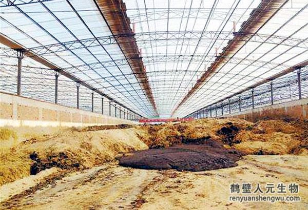 牛糞怎么發(fā)酵，堆放多久可以做肥料