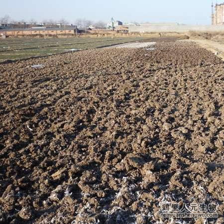 有機肥發(fā)酵過程中真的是溫度越高越好嗎？